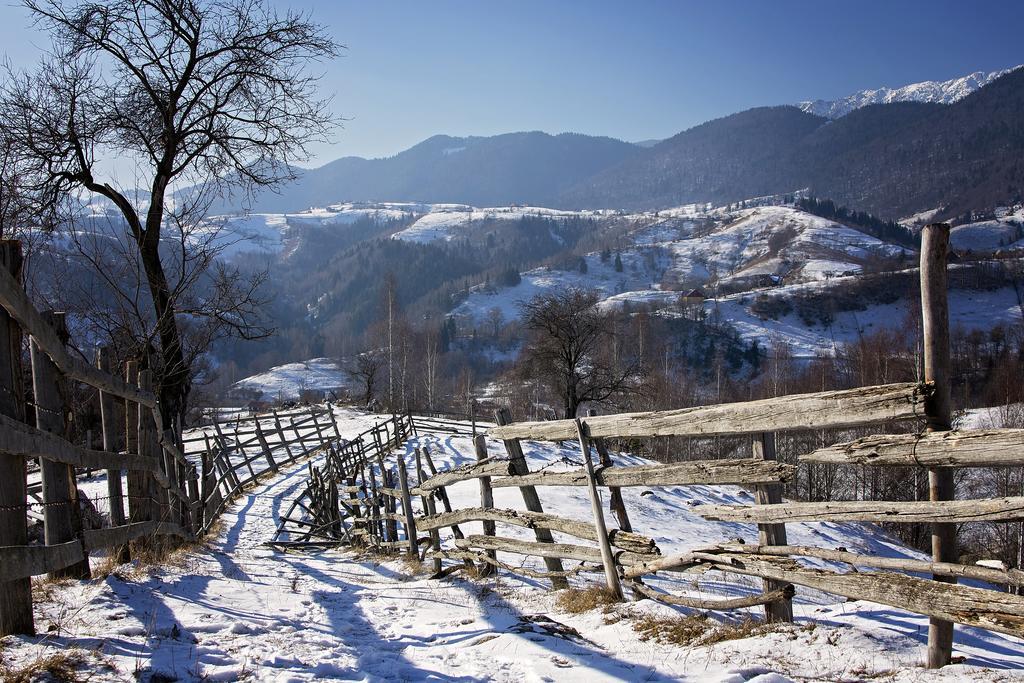 Samedru Hotel Magura  Bagian luar foto