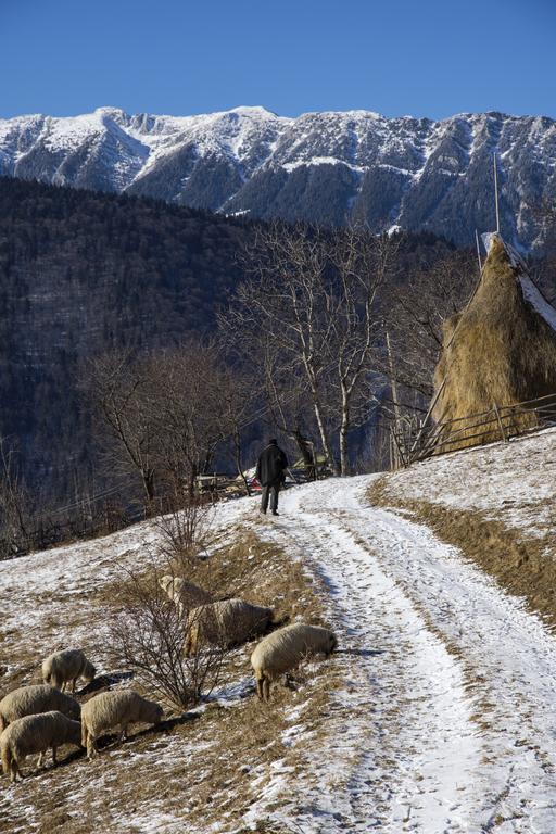 Samedru Hotel Magura  Bagian luar foto