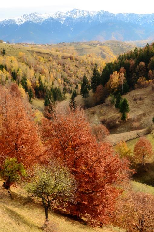 Samedru Hotel Magura  Bagian luar foto