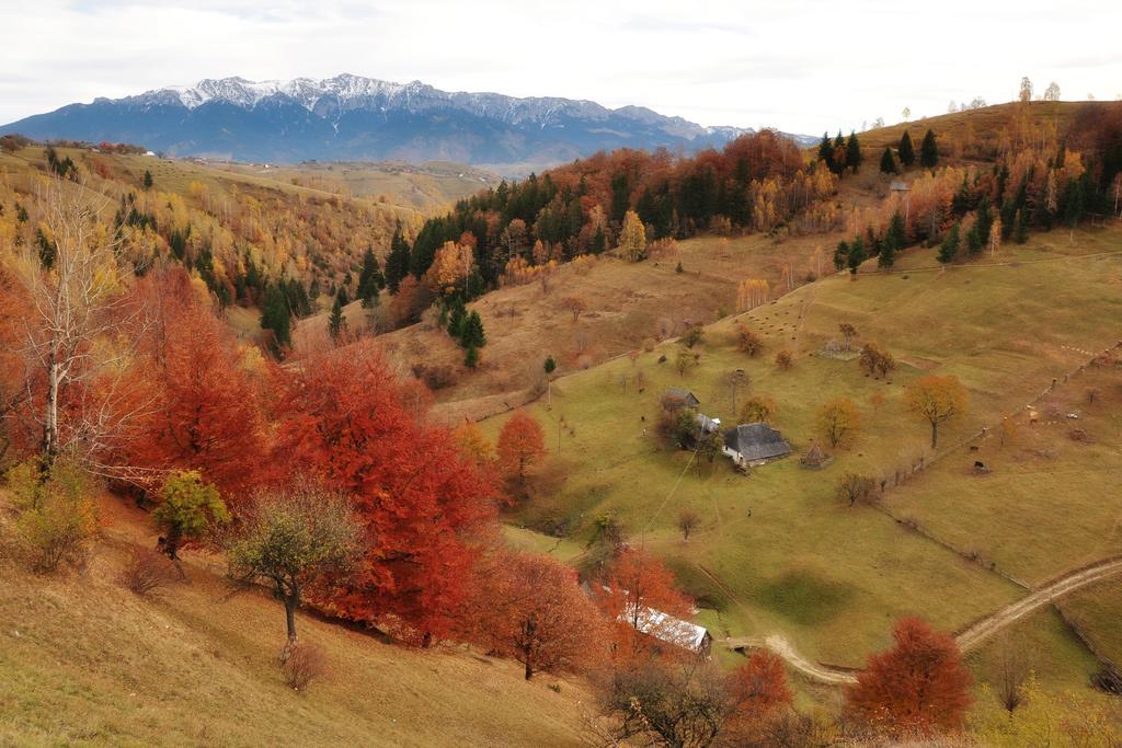 Samedru Hotel Magura  Bagian luar foto