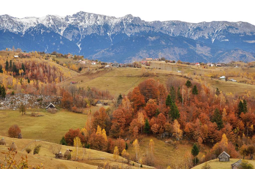 Samedru Hotel Magura  Bagian luar foto